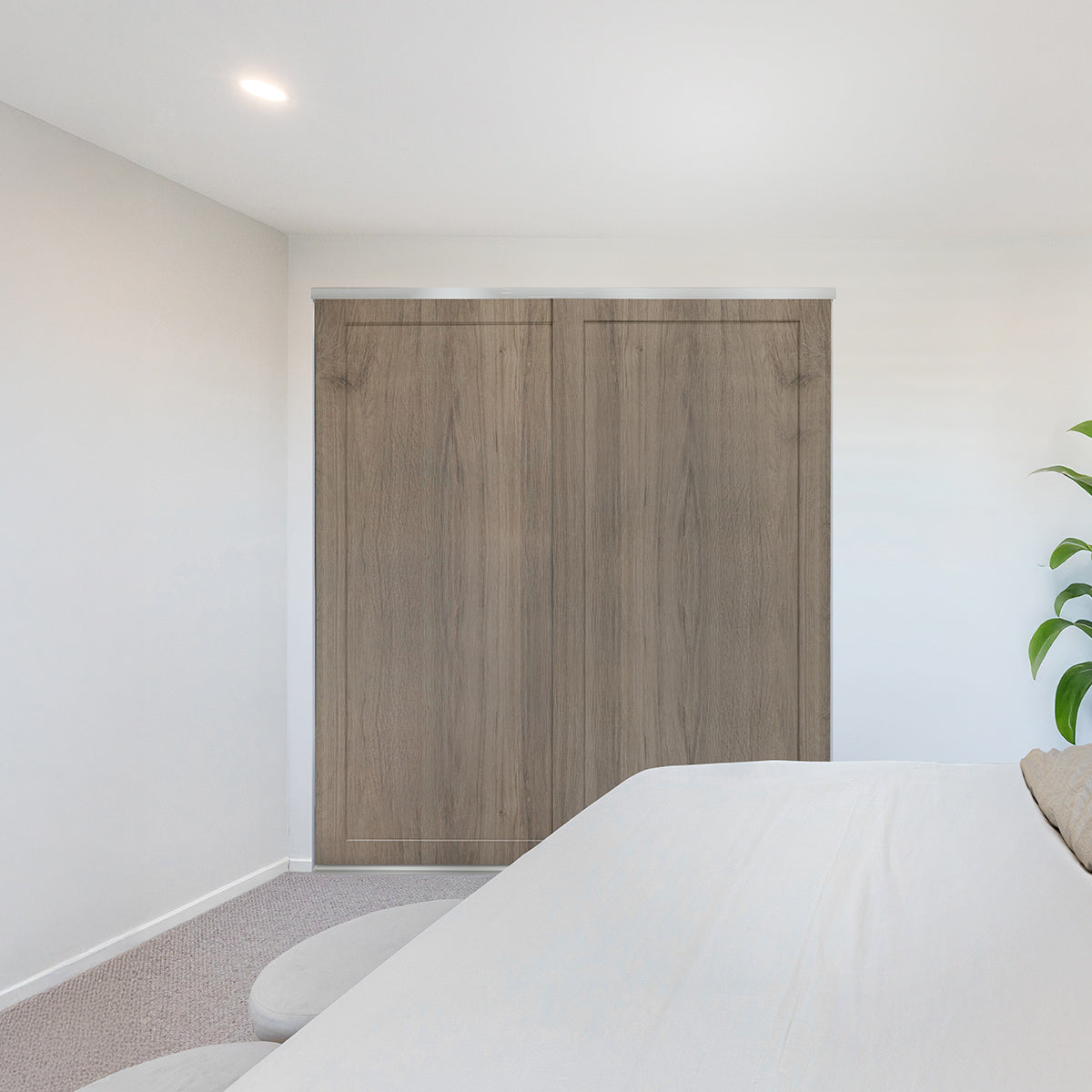 Shaker-Polished-Silver-Antico-Oak