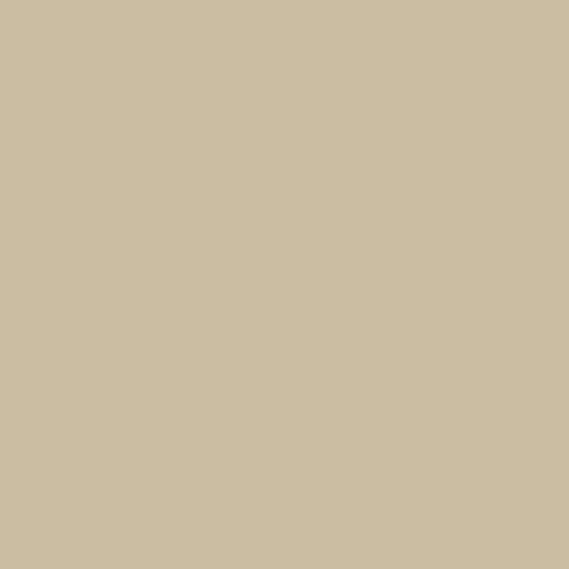 Stone Beige Matt