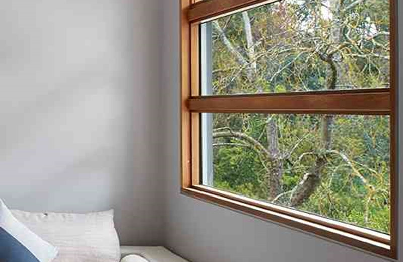 Siteline Awning Windows